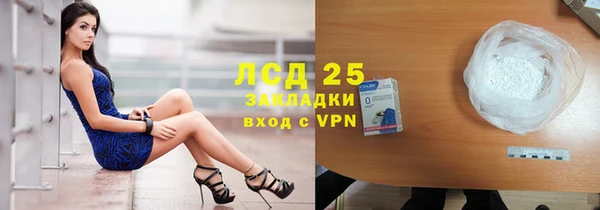 прущая мука Вяземский
