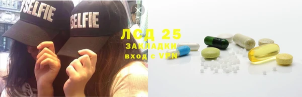 прущая мука Вяземский