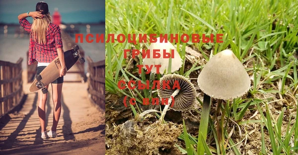 прущая мука Вяземский