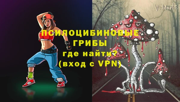 амф Вязники