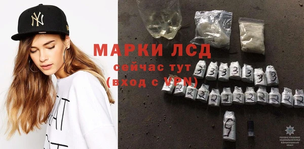прущая мука Вяземский
